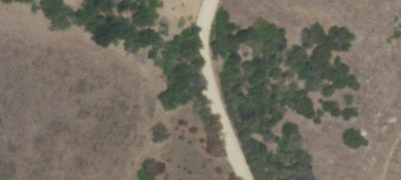 Working Hunting Ranch Land