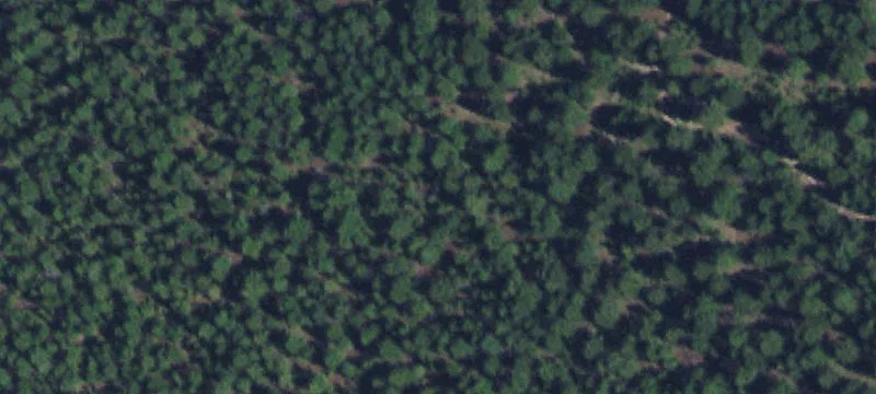 Wooded Residential Land Parcel