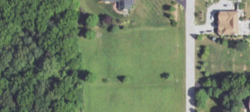 Residential Land Lot with Trees