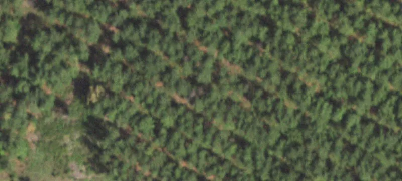 Ready-to-Build Residential Homesite