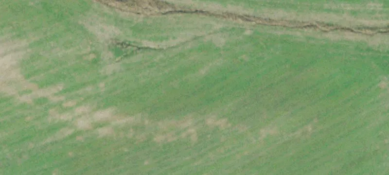 Unrestricted Hunting Land Tract