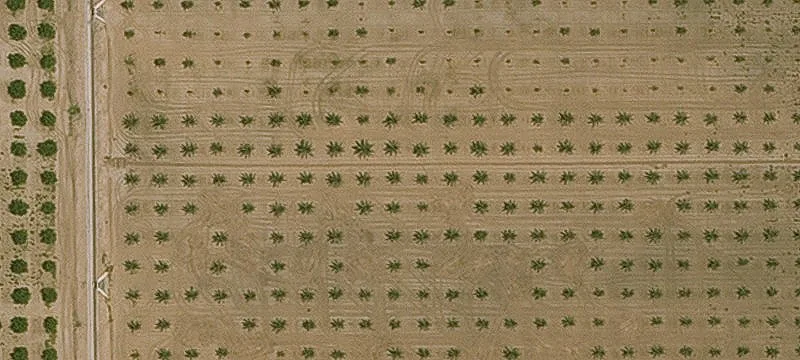 Fully Equipped Farm Acreage