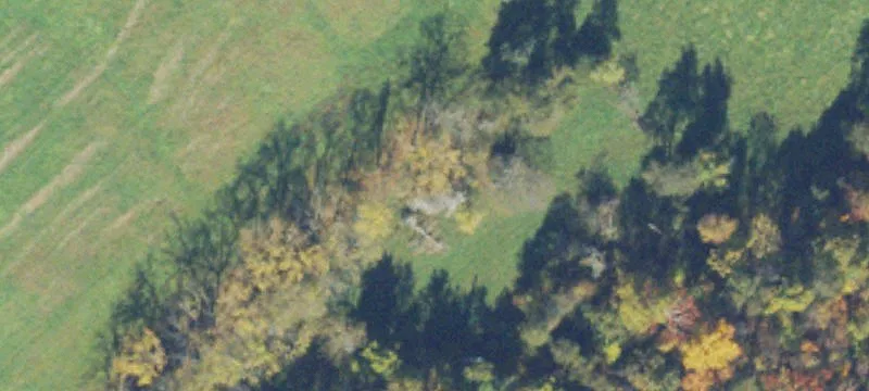 Horse Farm with Indoor Arena