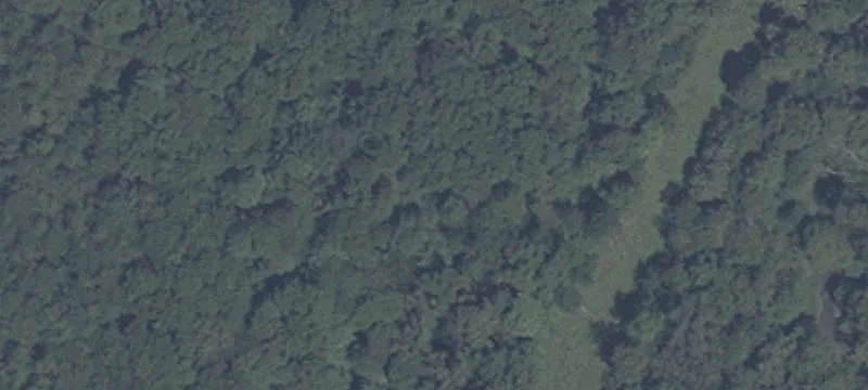 Wooded Development Land Parcel