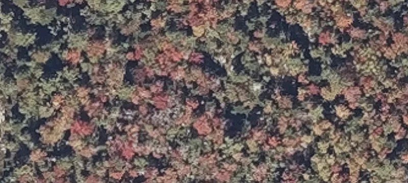 Waterfront Building Lot