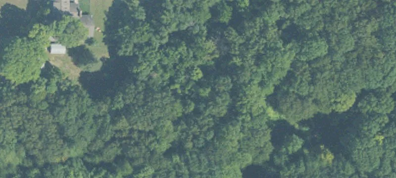 Wooded Ravine Development Land