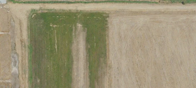Industrial Land Development Parcel