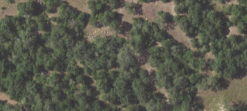 Wooded Recreational Land Lots