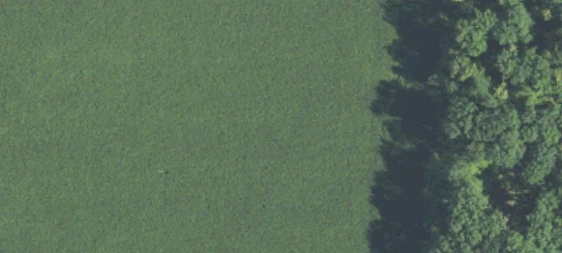 Partially Wooded Residential Lot