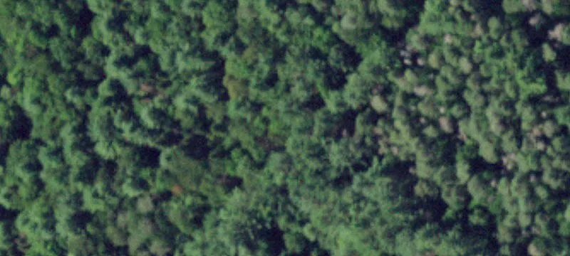 Wooded Recreational Land Parcel