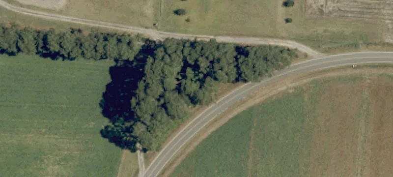 Agricultural Land with Road Frontage