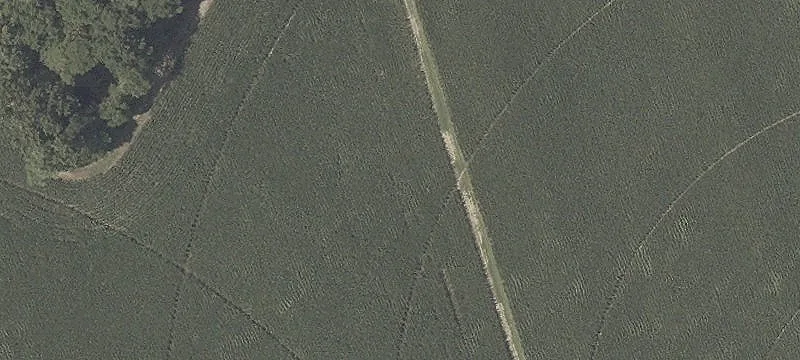 Acreage for Development Opportunity