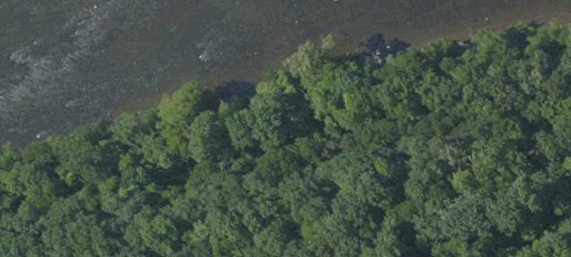 Wooded Residential Land Parcel