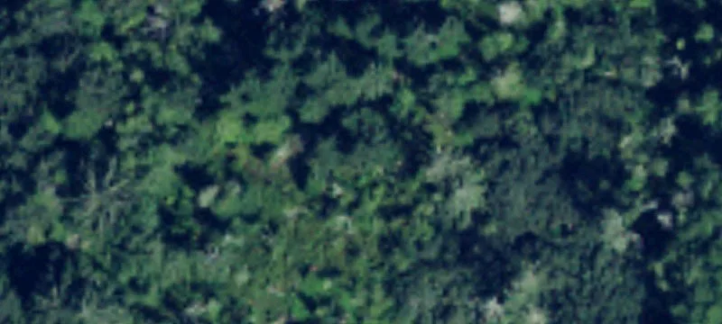 Land Parcel with Unfinished Cabin