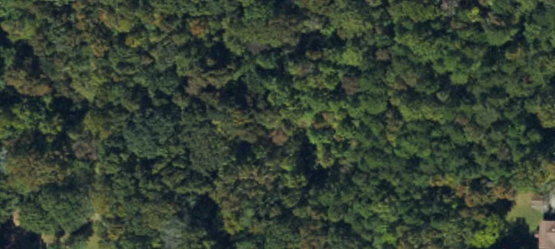 Residential Buildable Land Lots