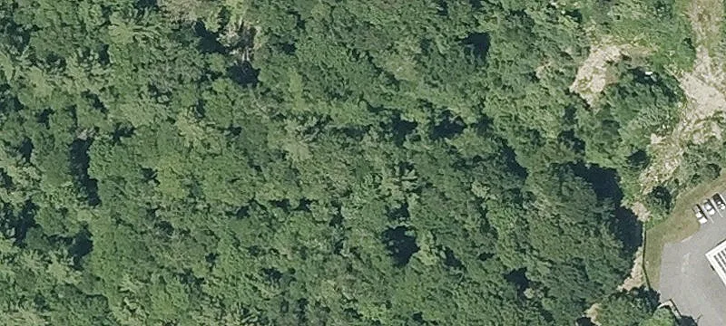 Wooded Residential Development Parcel