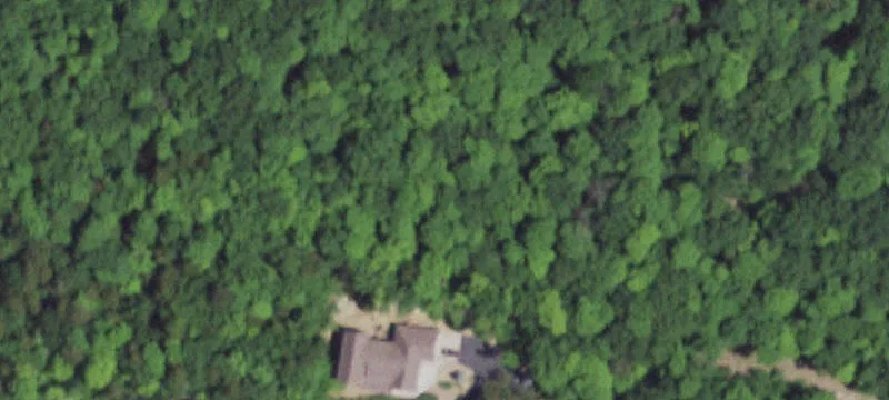 Wooded Private Homesite Land