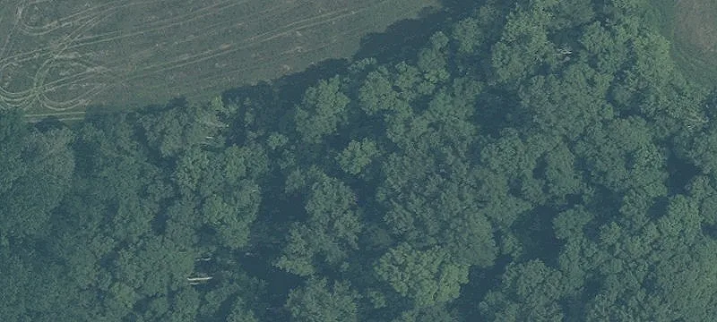 Fenced Horse Farm with Brick Home