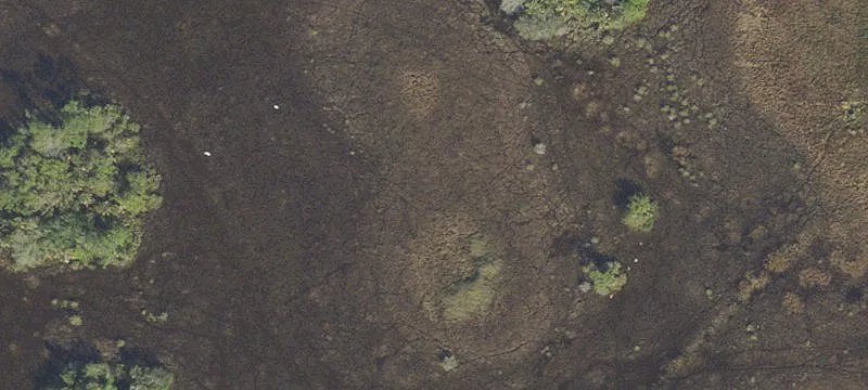 Oversized Corner Home Lot