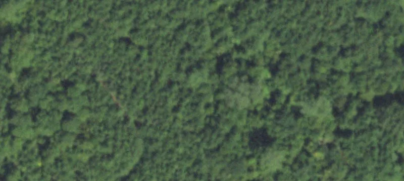 Treed Pasture Recreational Land