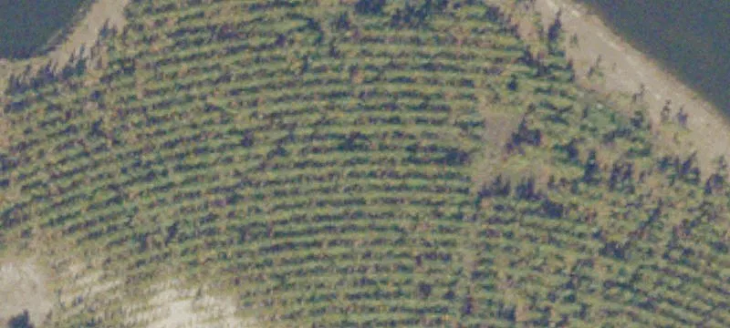 Residential Land Parcel with Road Frontage