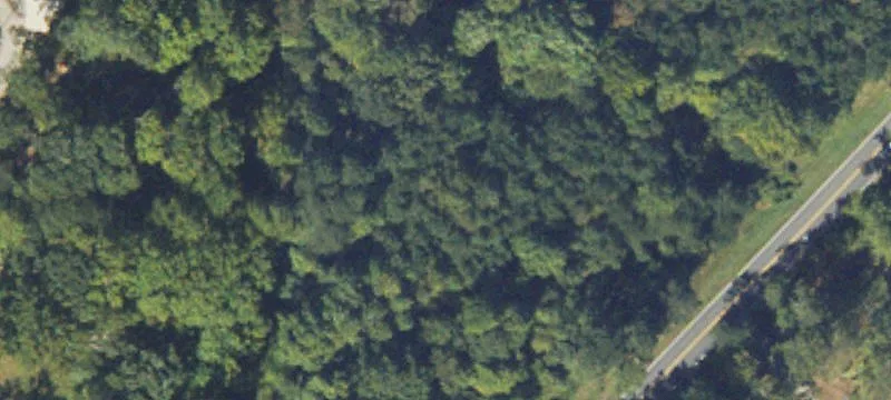 Wooded Residential Land Parcel