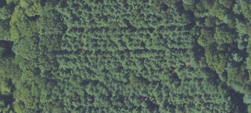 Residential Cul-de-Sac Land Lot