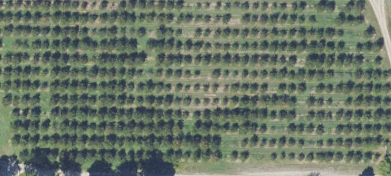 Waterfront Land Parcel