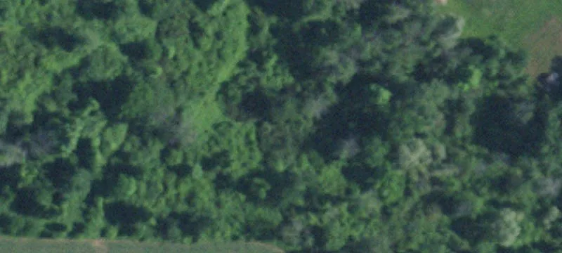 Wooded Recreational Land Parcel