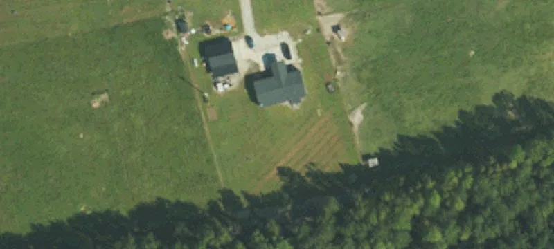 Wooded Acreage with Road Access
