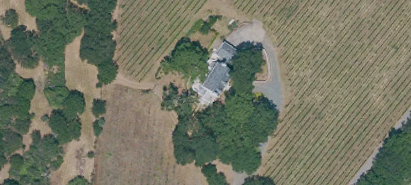 Napa Valley Vineyard Estate