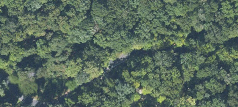 Wooded Homesite in Gated Community