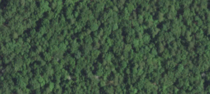 Recreational Land Homesite