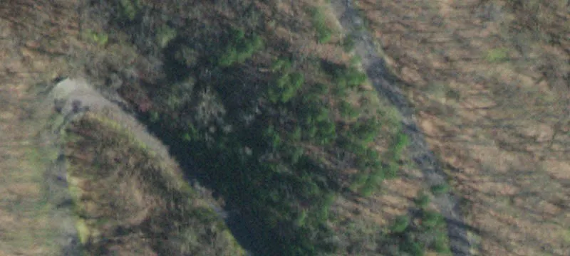 Wooded Lot in Gated Community