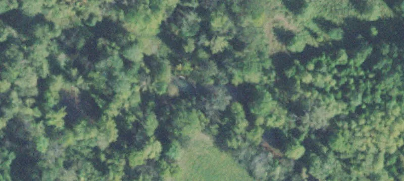 Recreational Timber Acreage with Pond