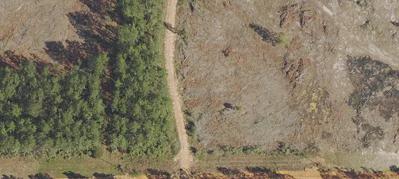 Multi-Use Agricultural Land Parcel