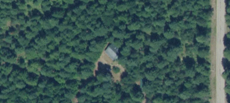 Treed Level Land Parcel