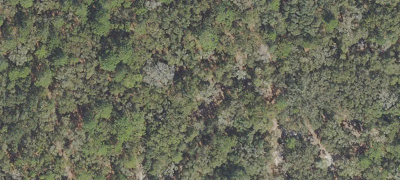 Residential Land Lot Opportunity