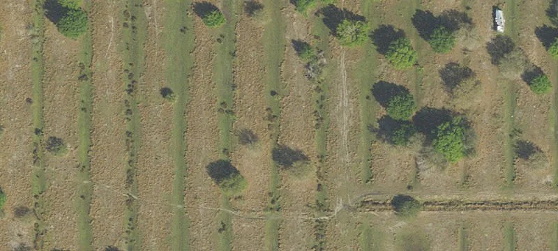 Fully Fenced Agricultural Tract