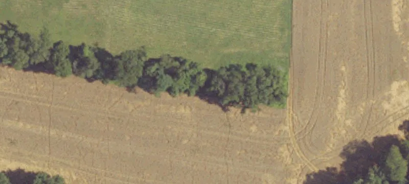 Riverfront Bar & Restaurant with Apartments