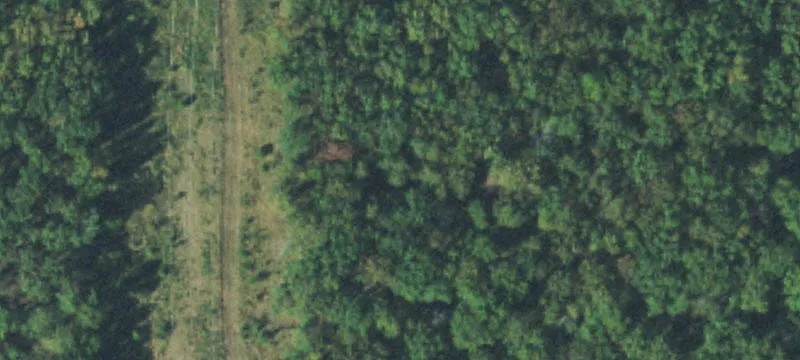 Build-Ready Hunting Acreage