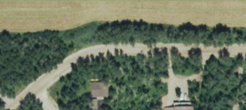 Treed Cabin-In-The-Woods Lot