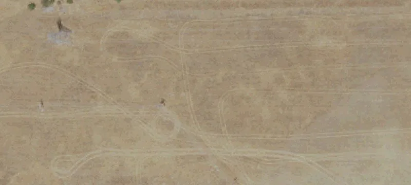 Commercial Farmland Parcel