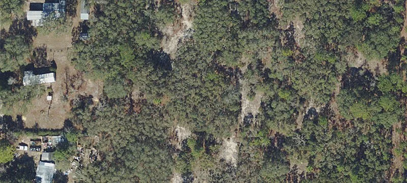 Wooded Residential Land Parcel