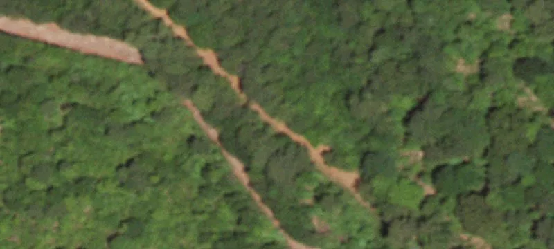 Wooded Land Tract with Road Access