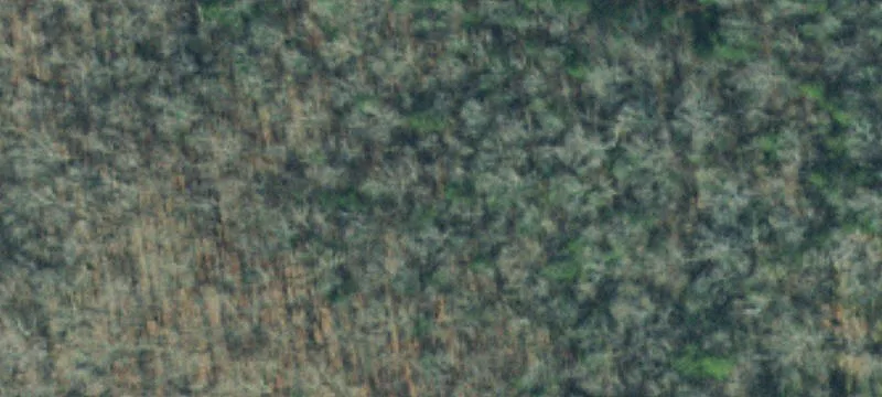 Cleared Residential Home Site Land