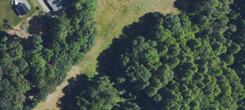 Timber Land Parcel with Road Frontage