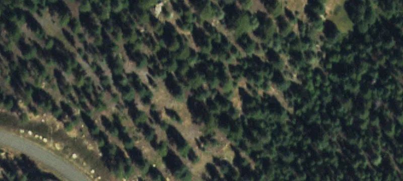 Land / Unimproved Land