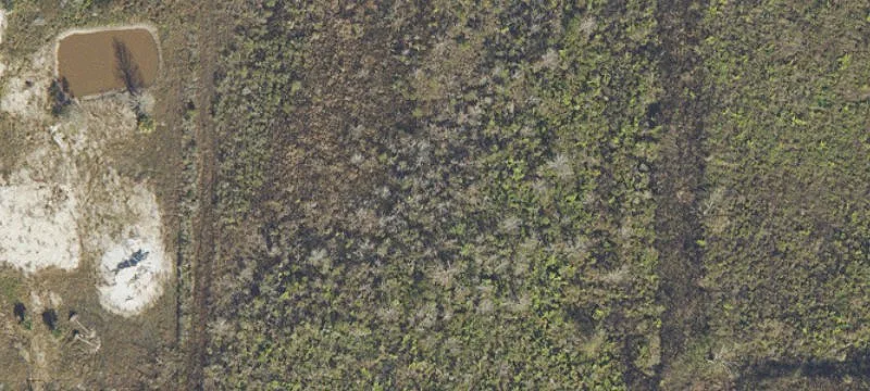 Residential Land Homesite