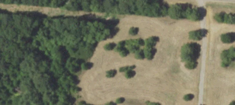 Turnkey East Texas Ranch Property